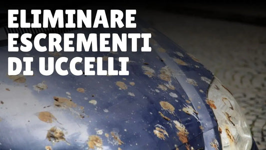 Auto con escrementi di uccelli sulla carrozzeria