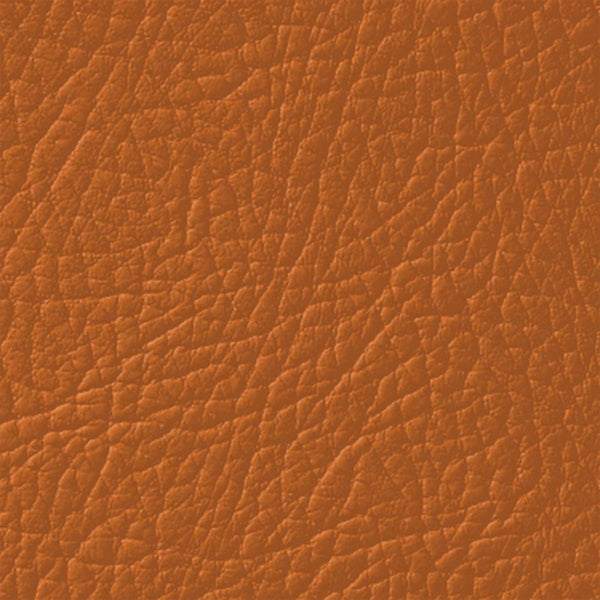 Colore Per Pelle Leather Colourant Caramello Toffe Brown302 by Leather Expert