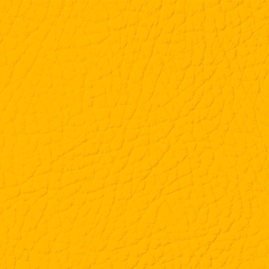 Colore Per Pelle Leather Colourant Golden Yellow020 by Leather Expert - Solodettagli