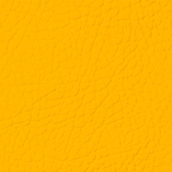 Colore Per Pelle Leather Colourant Golden Yellow020 by Leather Expert