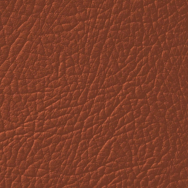 Colore Per Pelle Leather Colourant Marrone Medium Brown311 by Leather Expert