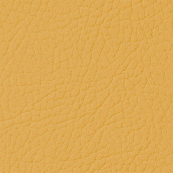 Colore Per Pelle Leather Colourant Mostarda Mustard105 by Leather Expert