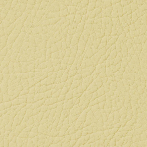 Colore Per Pelle Leather Colourant Sesamo Sesame Cream107 by Leather Expert
