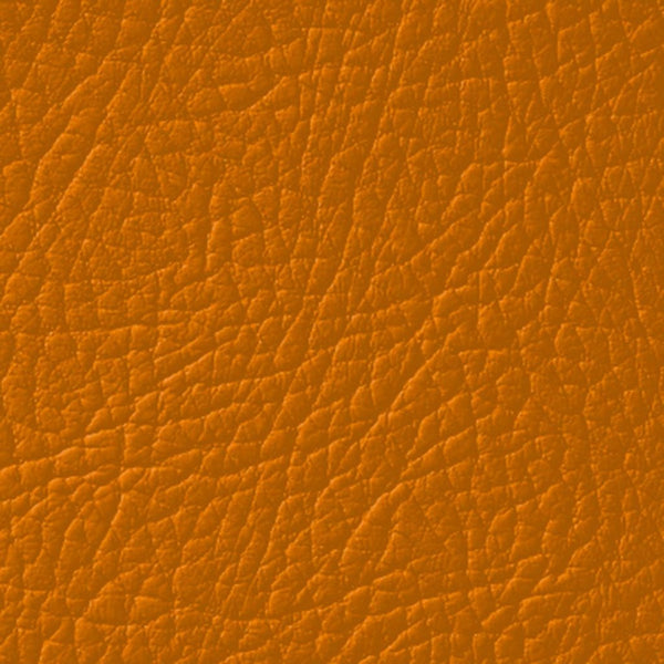 Colore Per Pelle Leather Colourant Tanno Chiaro Light Tan303 by Leather Expert