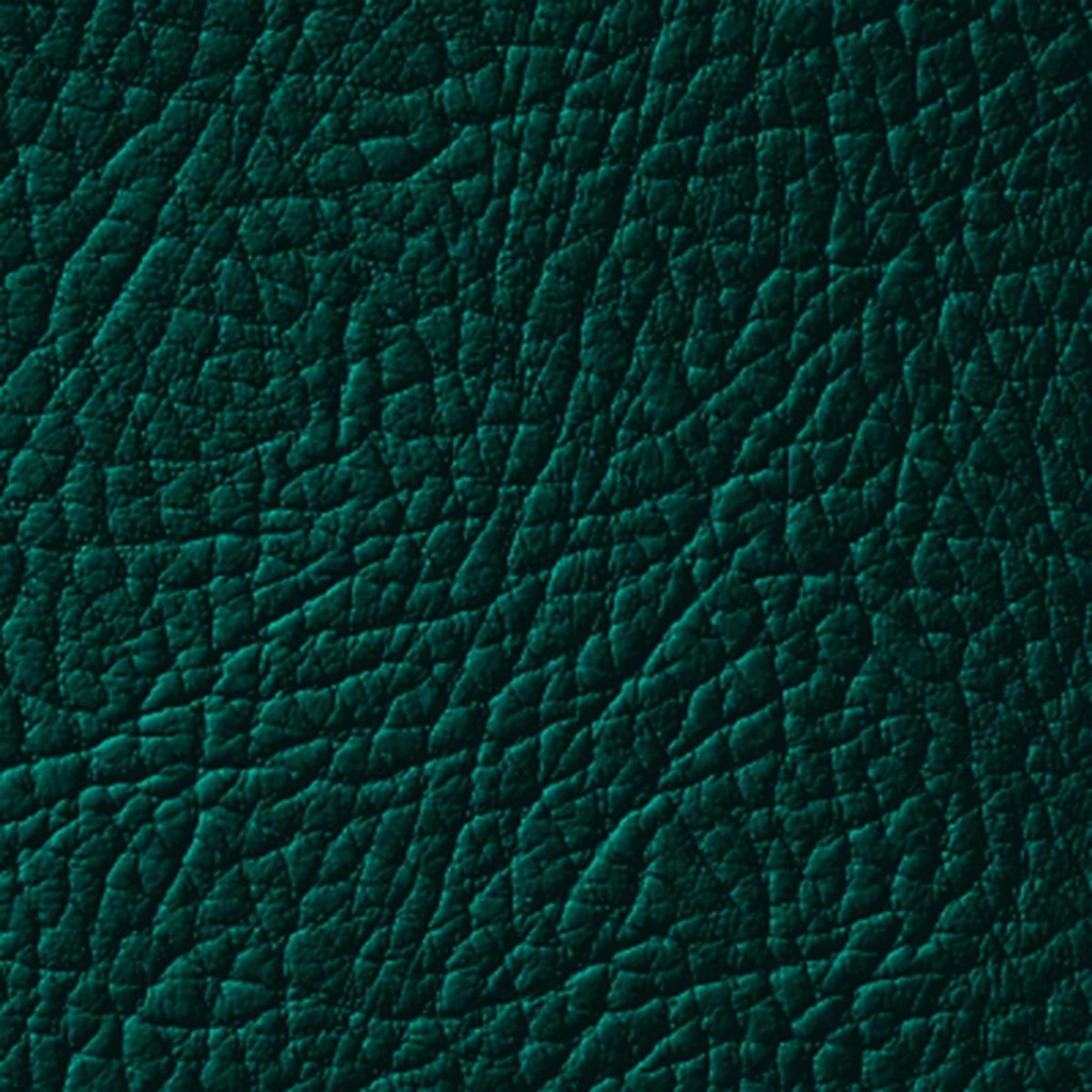 Colore Per Pelle Leather Colourant Verde Forest Green603 by Leather Expert - Solodettagli