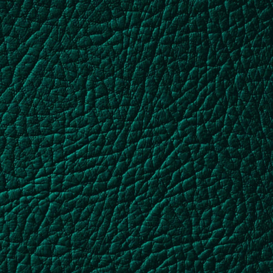 Colore Per Pelle Leather Colourant Verde Forest Green603 by Leather Expert - Solodettagli