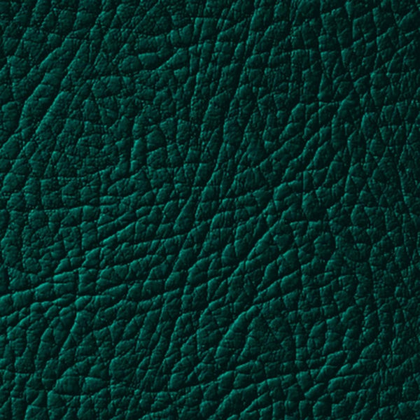 Colore Per Pelle Leather Colourant Verde Forest Green603 by Leather Expert