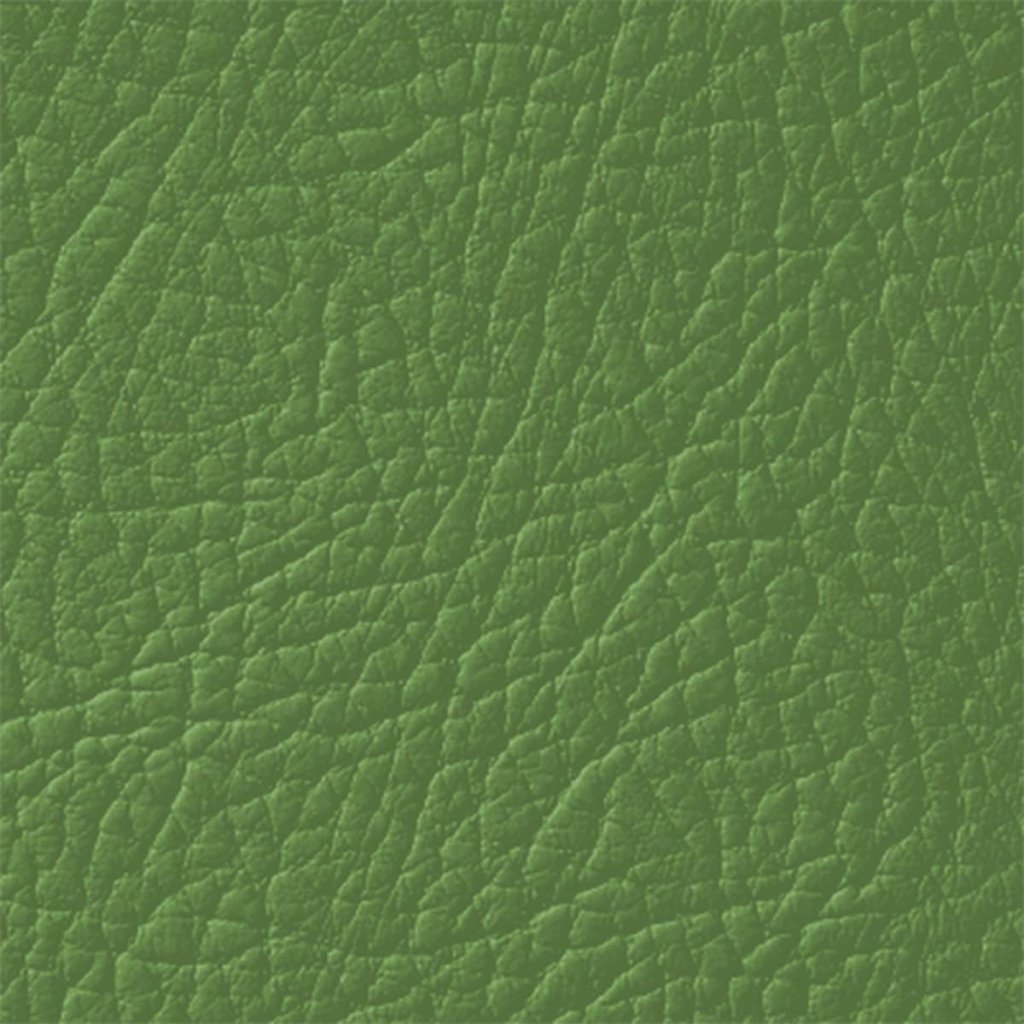 Colore Per Pelle Leather Colourant Verde Green601 by Leather Expert - Solodettagli