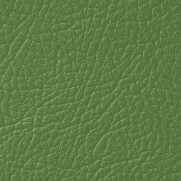 Colore Per Pelle Leather Colourant Verde Green601 by Leather Expert