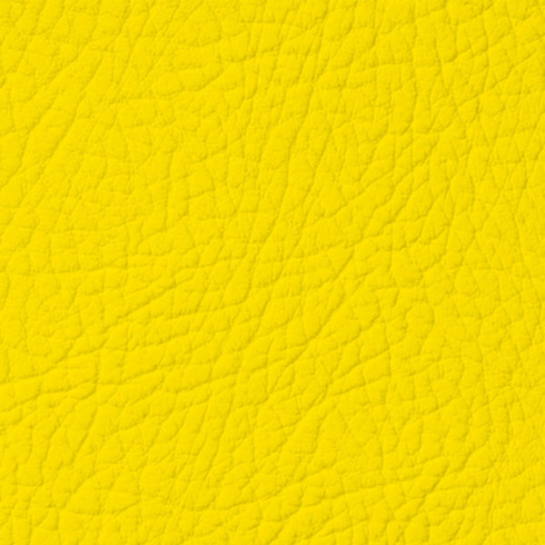 Colore Per Pelle Leather Colourant Yellow010 by Leather Expert